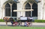 Lisbon horse & cart